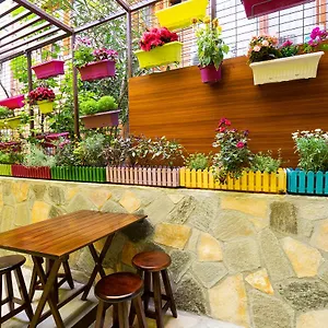 Chestnut Mansion Oldcity Отель